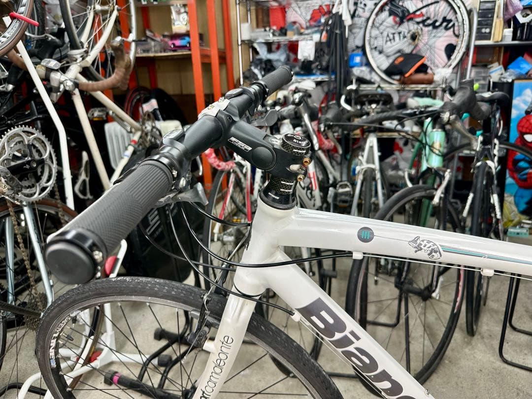 CAMALEONTE SPORT基本分解発送送料無料！完成車配送ご相談ください！