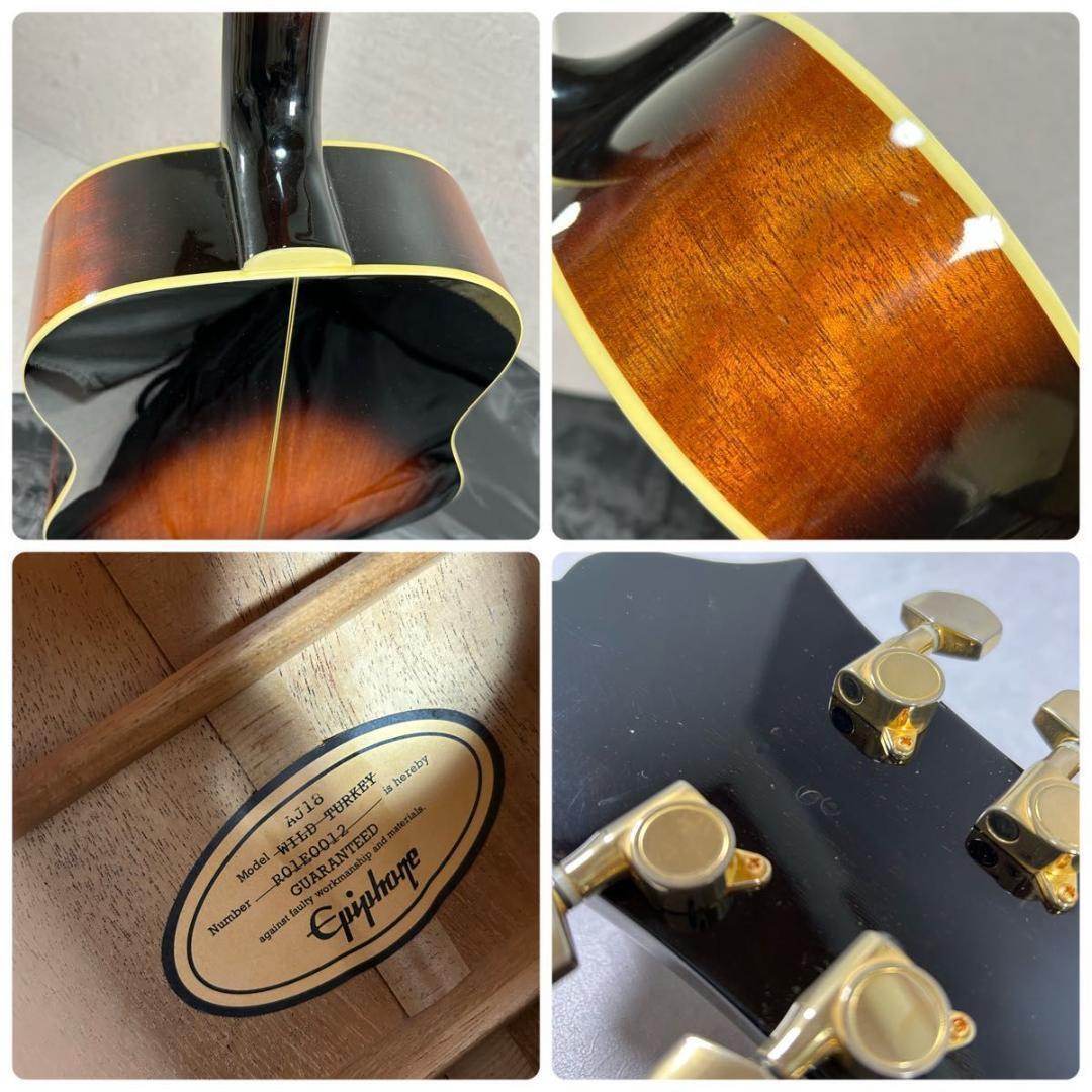 Epiphone × WILD TURKEY エピフォン×ワイルドターキー 限定