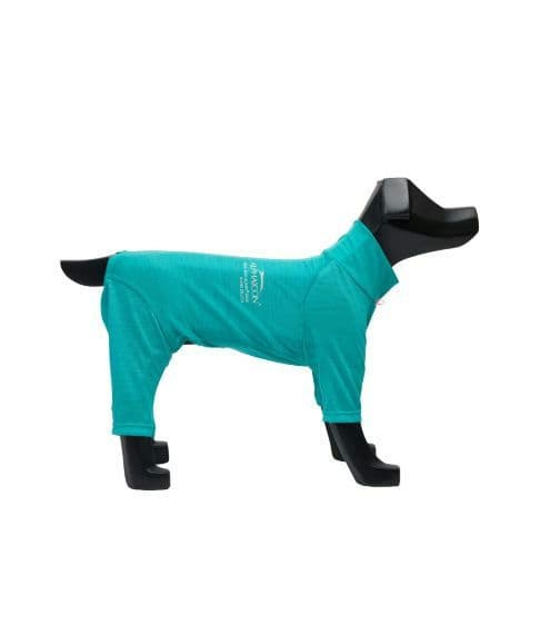 ALPHAICON ドッグガードベース ターコイズ　МＬ　新品未開封