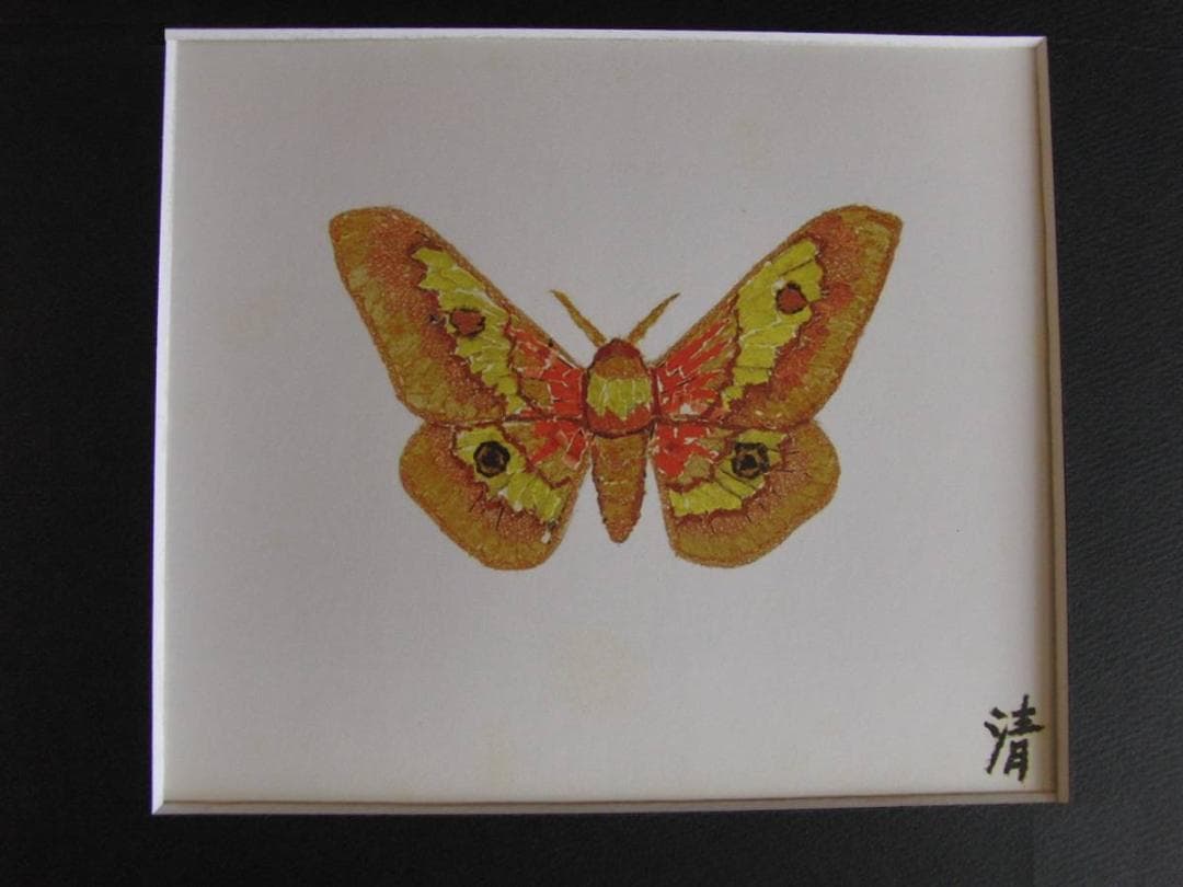 山下清、【蛾】、希少な額装用画集より、美品、日本人画家、新品額装付