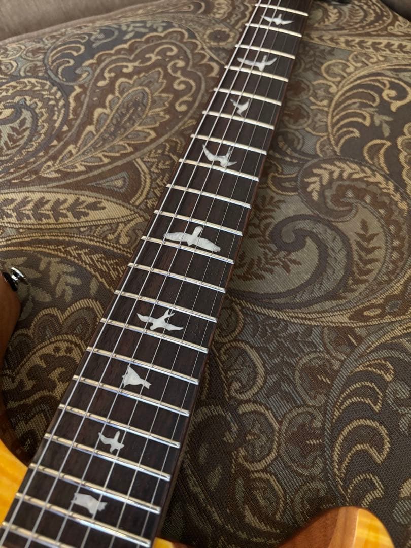 ギター PRS SE Custom 22 Semi-Hollow