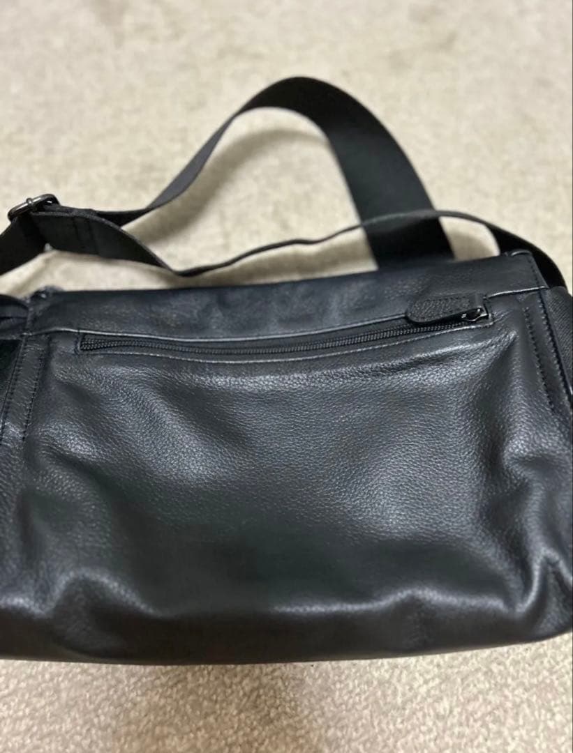 ear PAPILLONNERバック