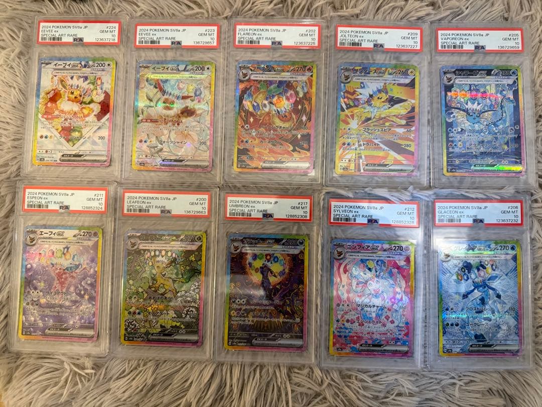 【オールpsa10】テラスタルフェスex ブイズex