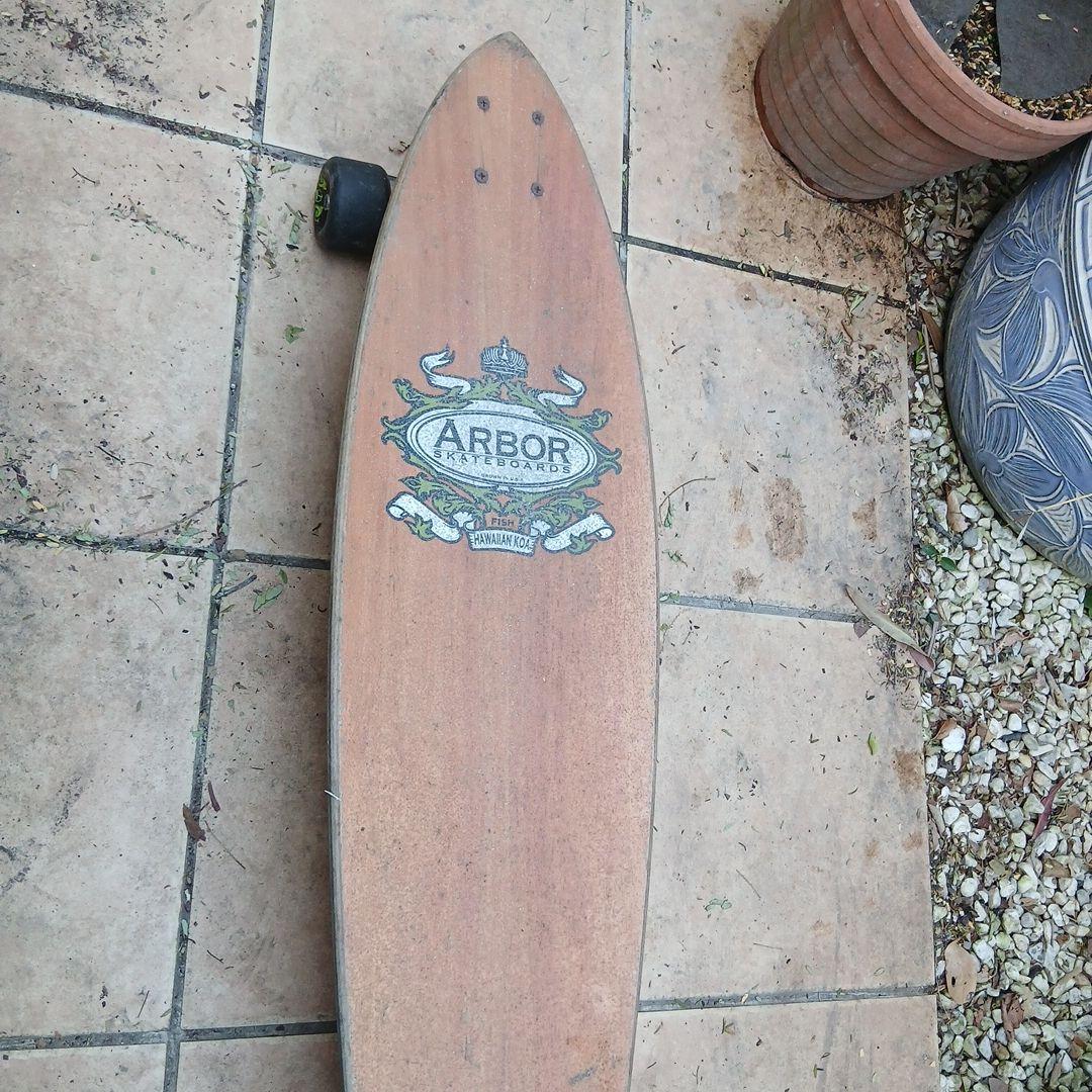 Arbor スケートボード　オールドスタイル
