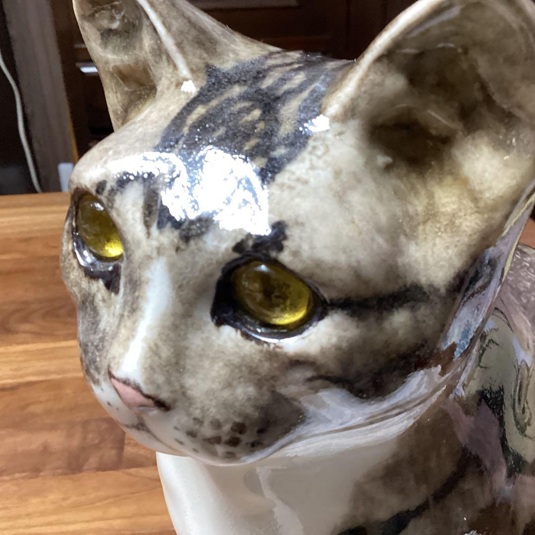 ウィンスタンレーキャット、ケンジントンキャットサイズ6の大きな猫