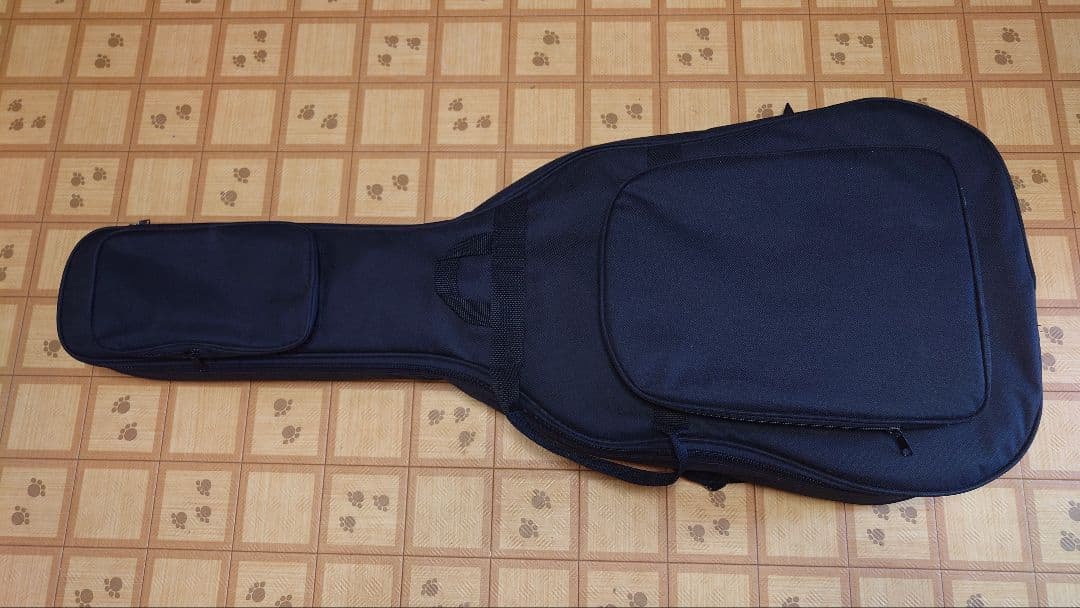 アコースティックギター ARIA amb-45