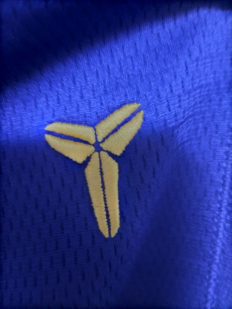 Nike コービー Therma-FIT バスケットボールパンツ