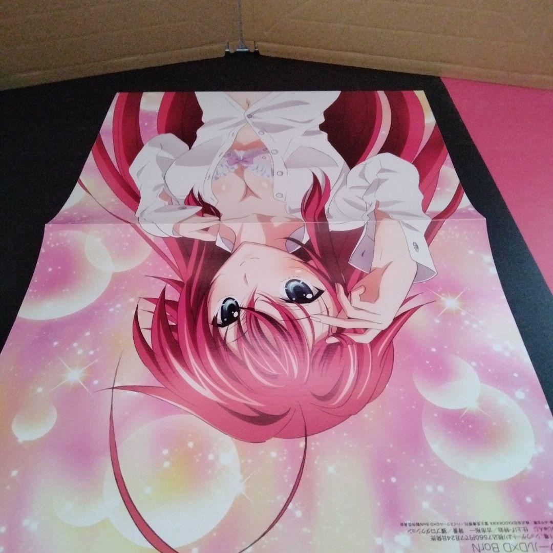 ピンナップNo.65 ハイスクールD×D