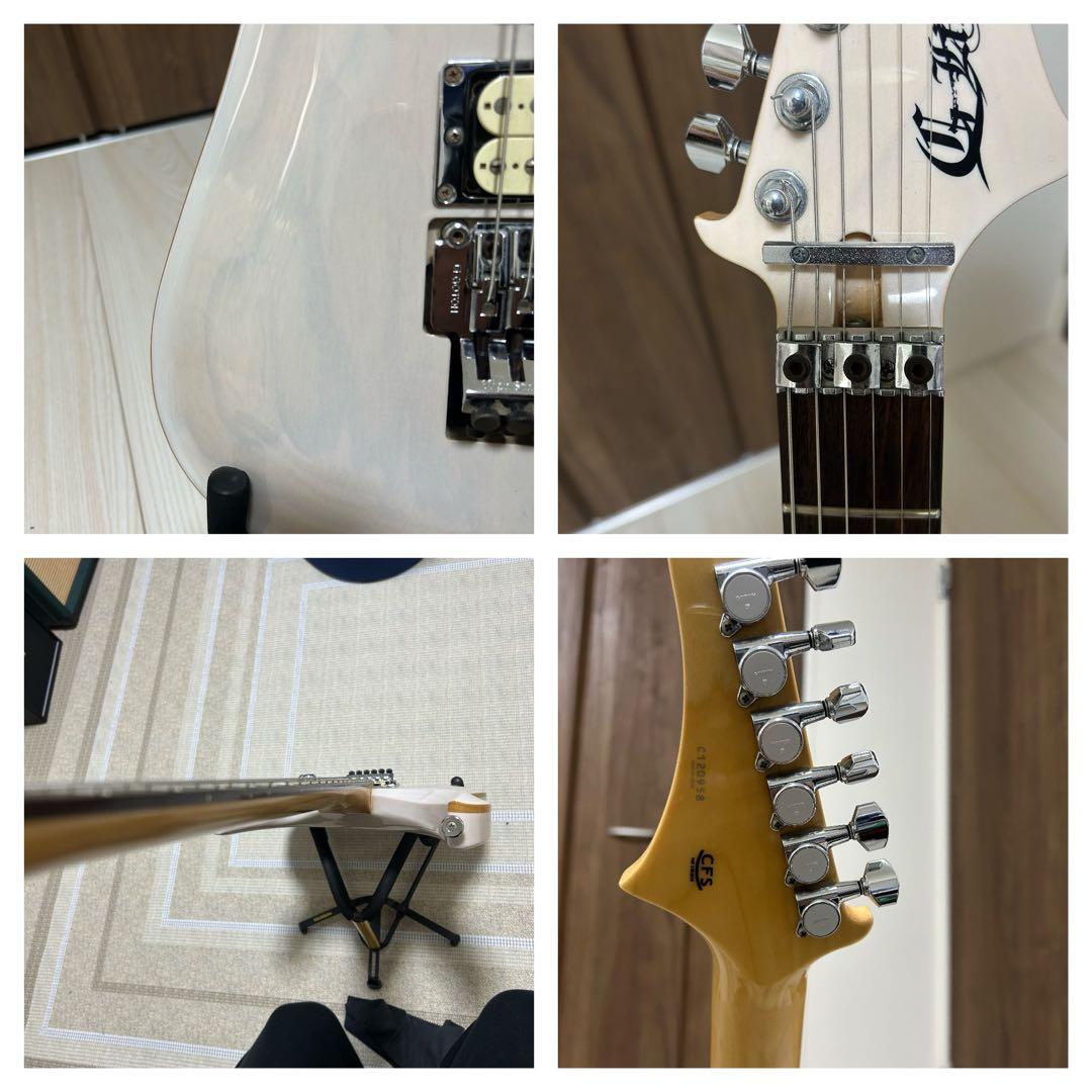 ギター DSG Standard Ash /  White