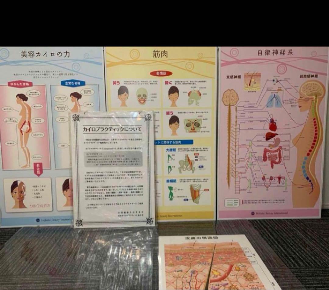 美容カイロプラクティック パネルポスターセット