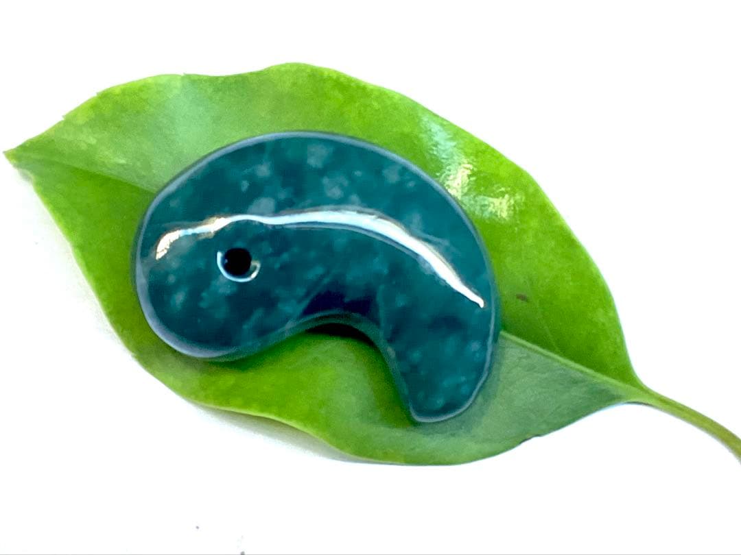 ✳premiumシリーズ　珍‼️希少吉兆雪輪文様 糸魚川青翡翠入りコン沢　鑑別書付