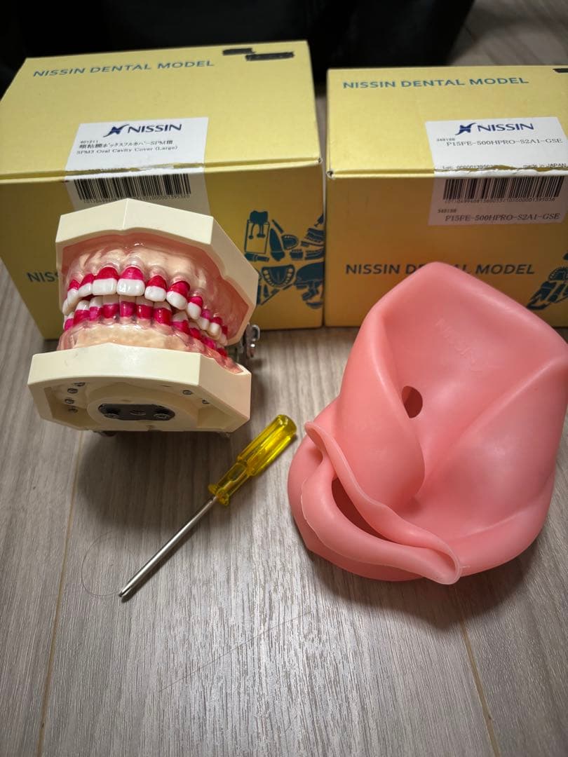 顎模型　頬粘膜フルカバーセット