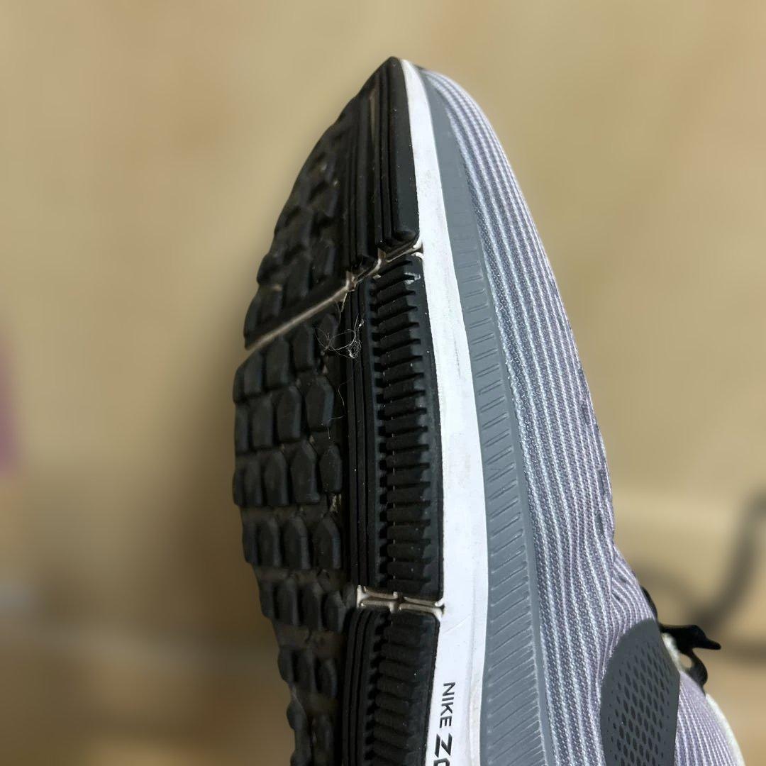 Nike Oregon project ペガサス　サイズ28cm