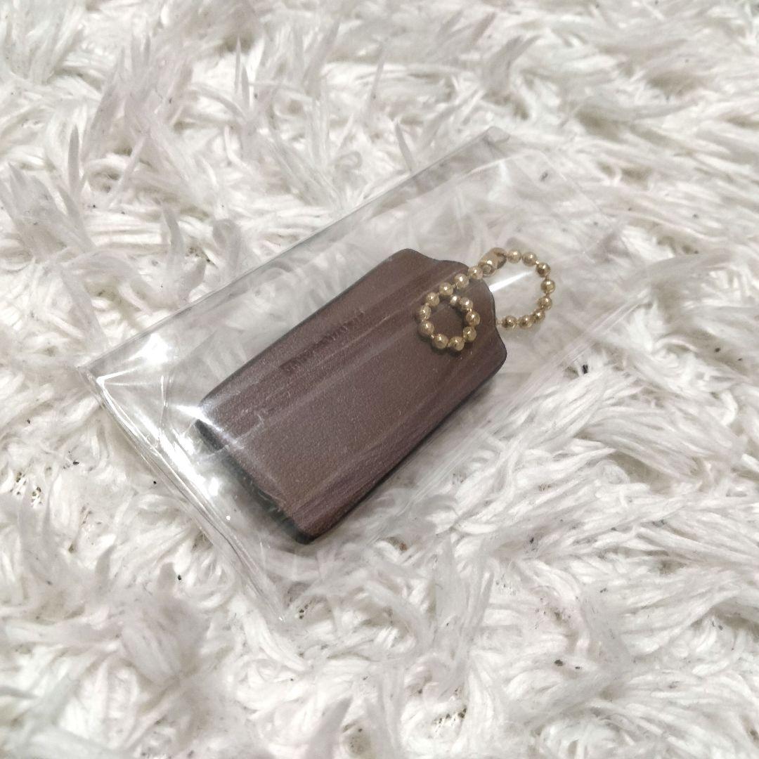 極美品　コーチ　ウエストポーチ　シグネチャー　PVC　ブラウン　パックマン