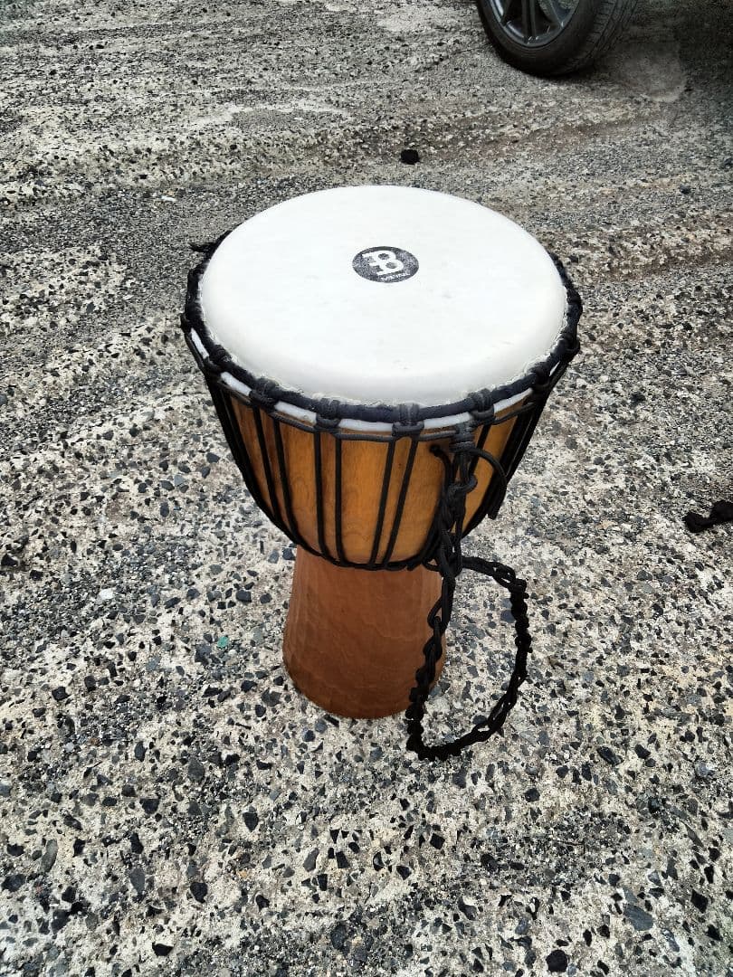 マイネルジャンべ＋マイネルカホン