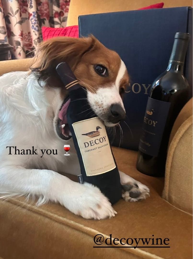 新品・未使用　MVP 大谷翔平 Decoy デコピンワイン 犬用おもちゃ 非売品