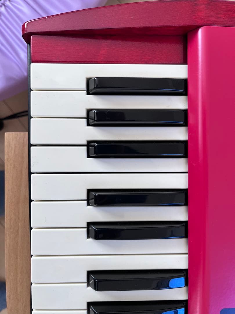 Clavia Nord Electro2 73(純正ケース付)美品　動作良好