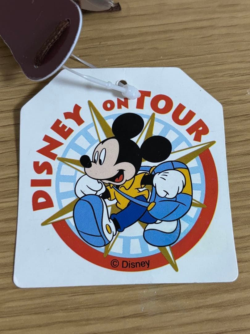 激レア　ディズニーオンツアー 長野 ミニー　ブランコ　ぬいぐるみ　#1