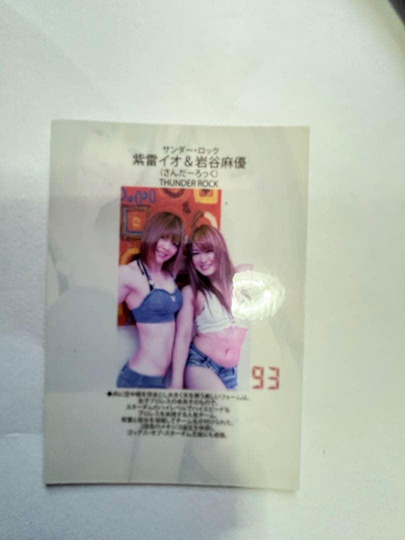 スターダム観戦ガイドブック 紫雷イオ、岩谷麻優、サンダーロックカード付き