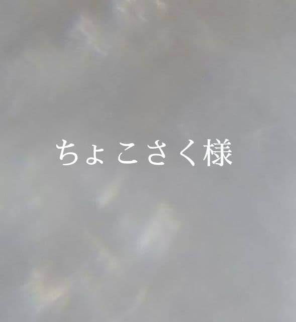 3.ちょこさく様　オーダー