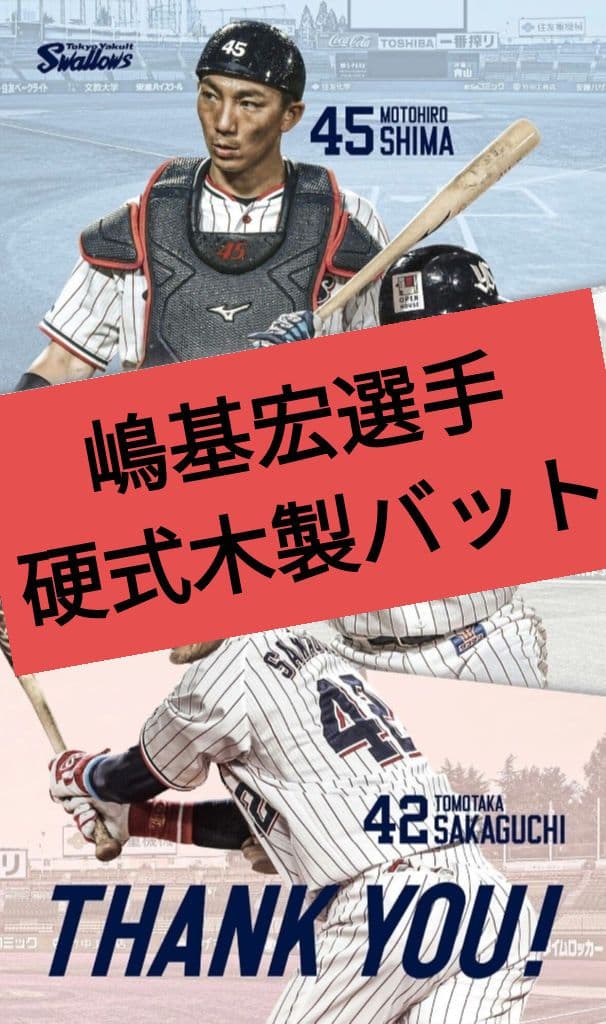 【プレミア】嶋基宏 ミズノプロ ミズノ 硬式木製バット 85cm 932g