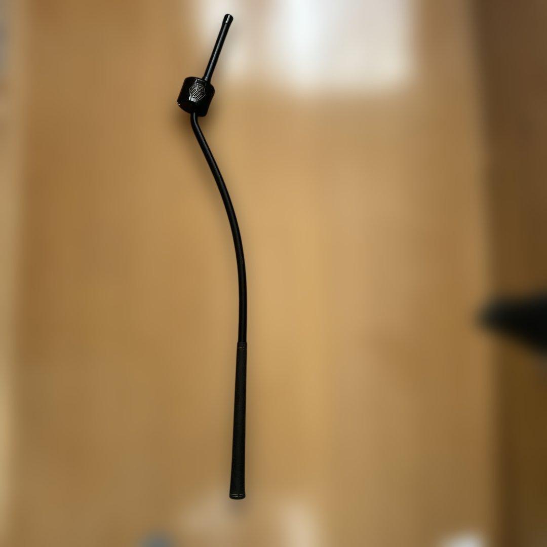 TASKGOLF 3D Swing Mentor(スイングメンター)