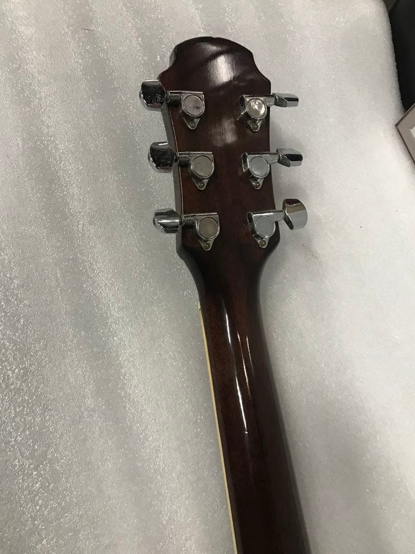 Aria FET-500 EBS Elecord Series エレアコ